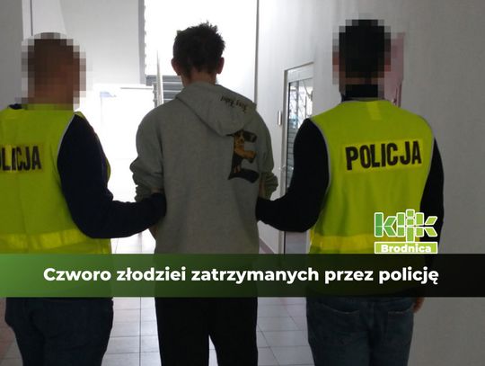 Czworo złodziei zatrzymanych przez brodnickich kryminalnych