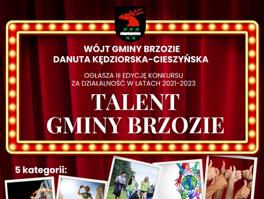 Gala talentów Gminy Brzozie