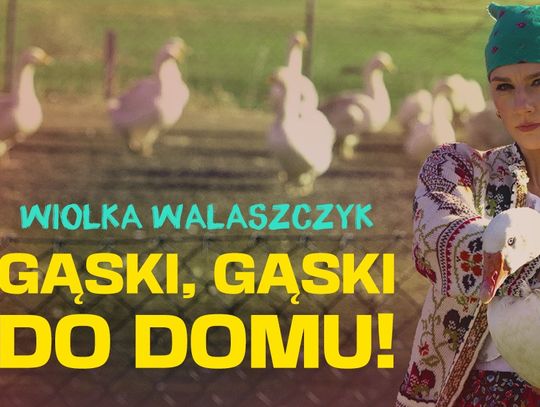 Wiolka Walaszczyk w Rypinie. Bilety jeszcze dostępne!