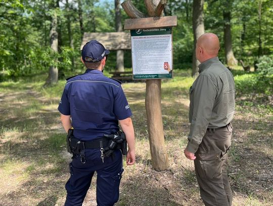 Wspólne patrole policjantów z pracownikami lasów państwowych