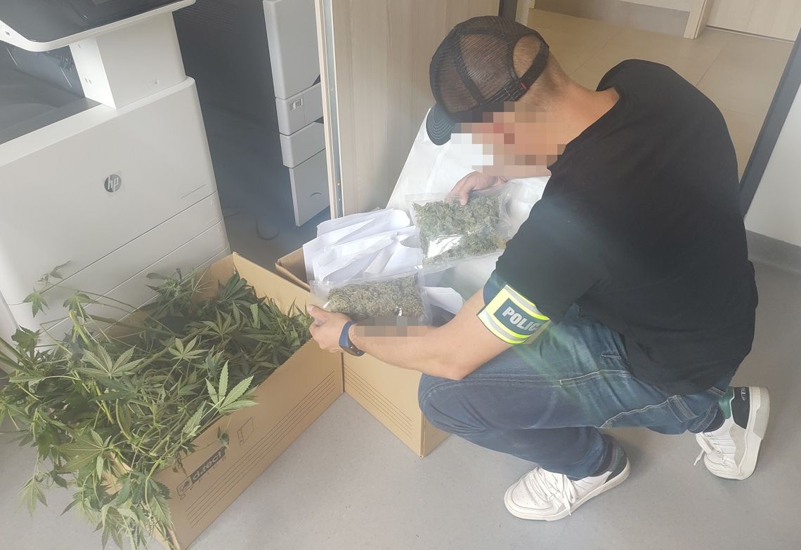 Policja zlikwidowała dwie plantacje i zabezpieczyła prawie 4 kg narkotyków